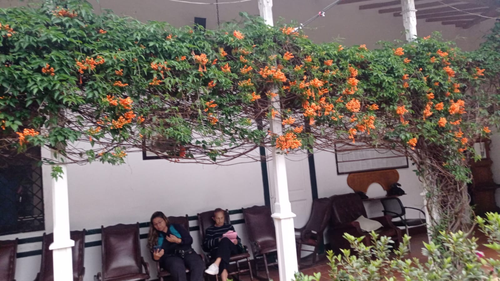 WhatsApp Image 2025-03-27 at 4.04.36 PM