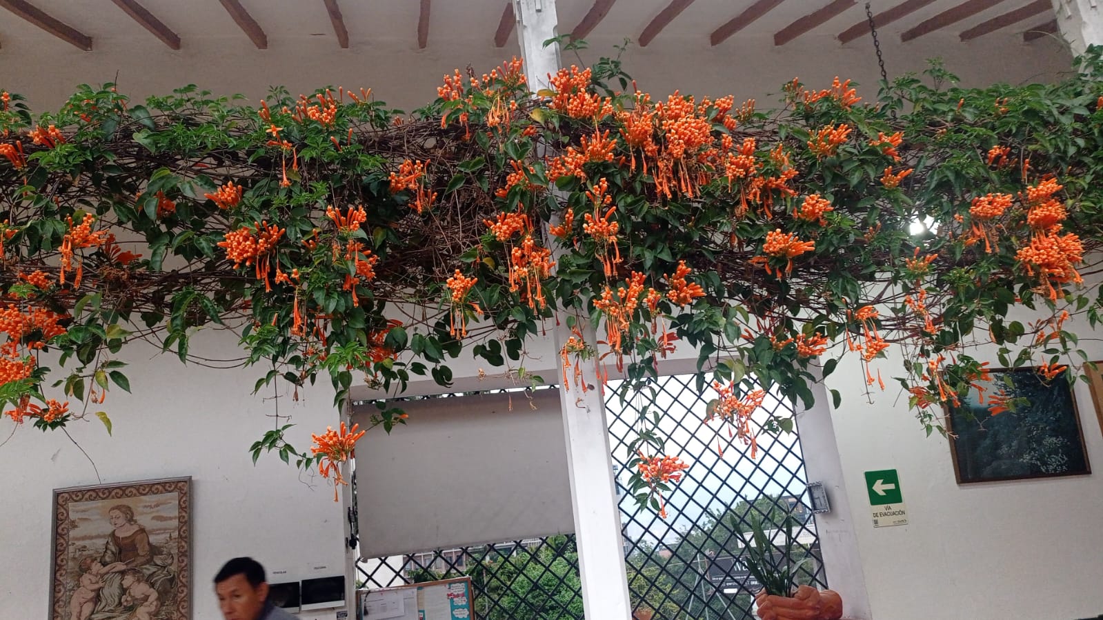 WhatsApp Image 2025-03-27 at 4.04.37 PM