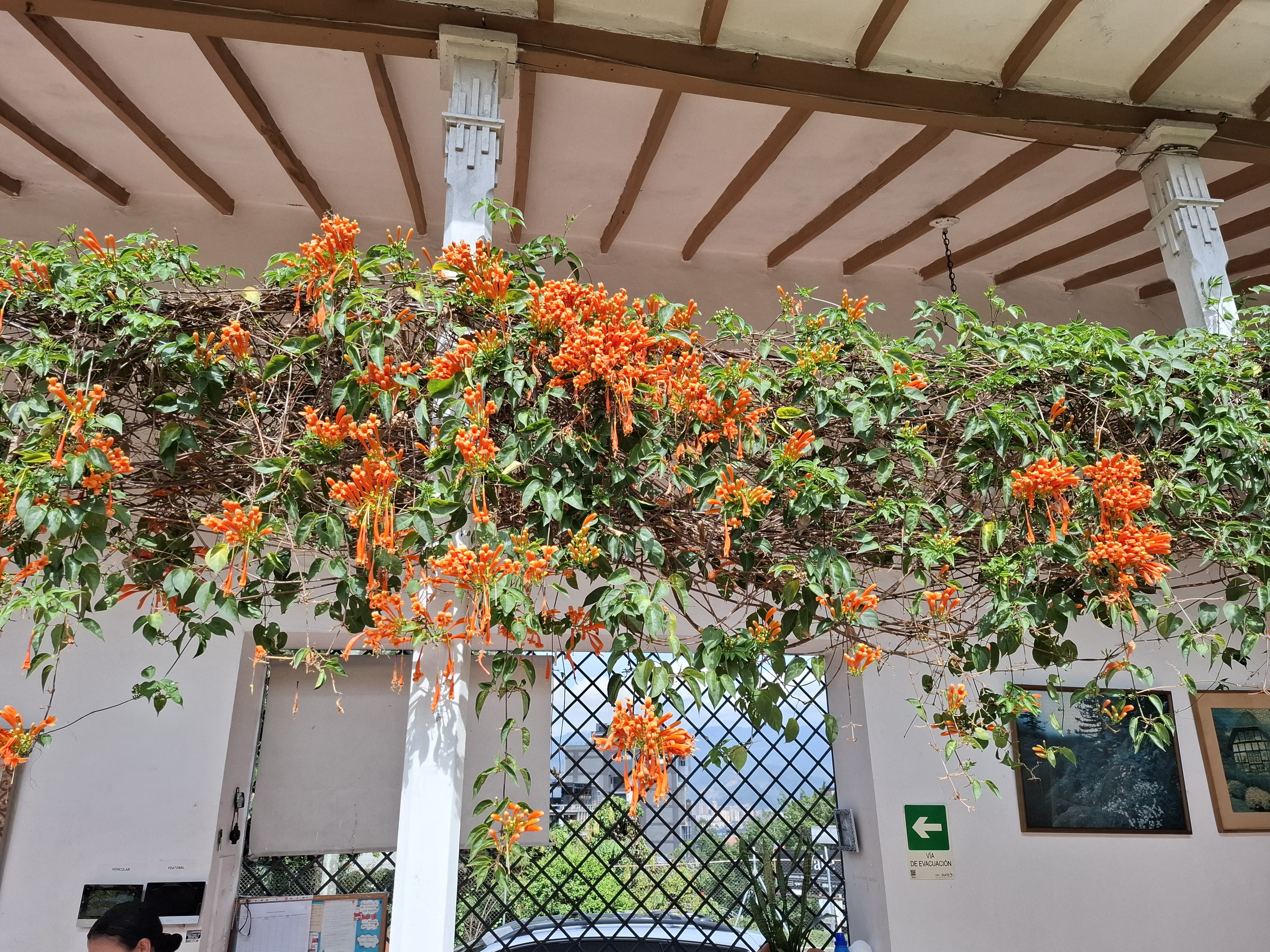 WhatsApp Image 2025-03-27 at 4.04.40 PM