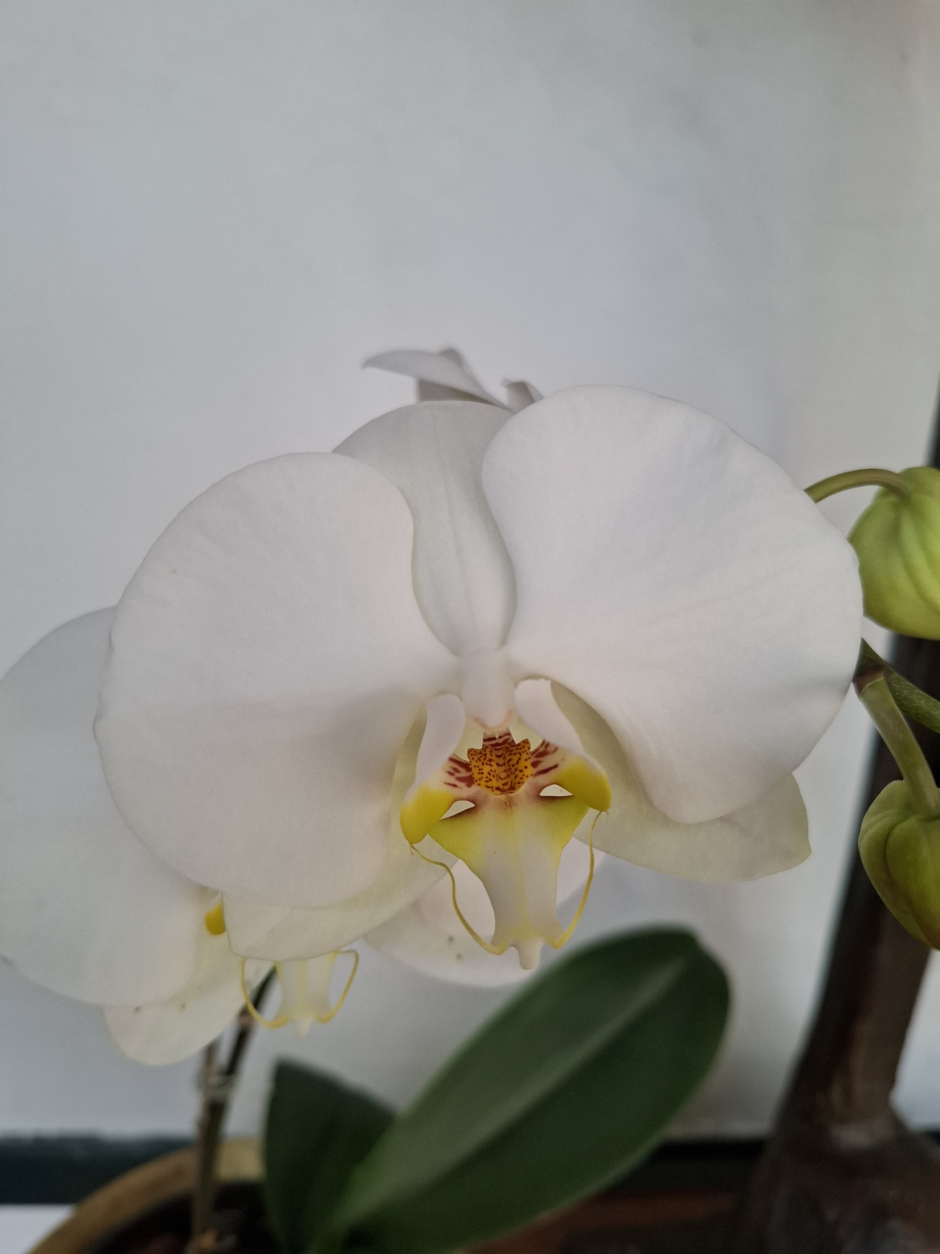 WhatsApp Image 2025-03-27 at 4.04.42 PM (1)