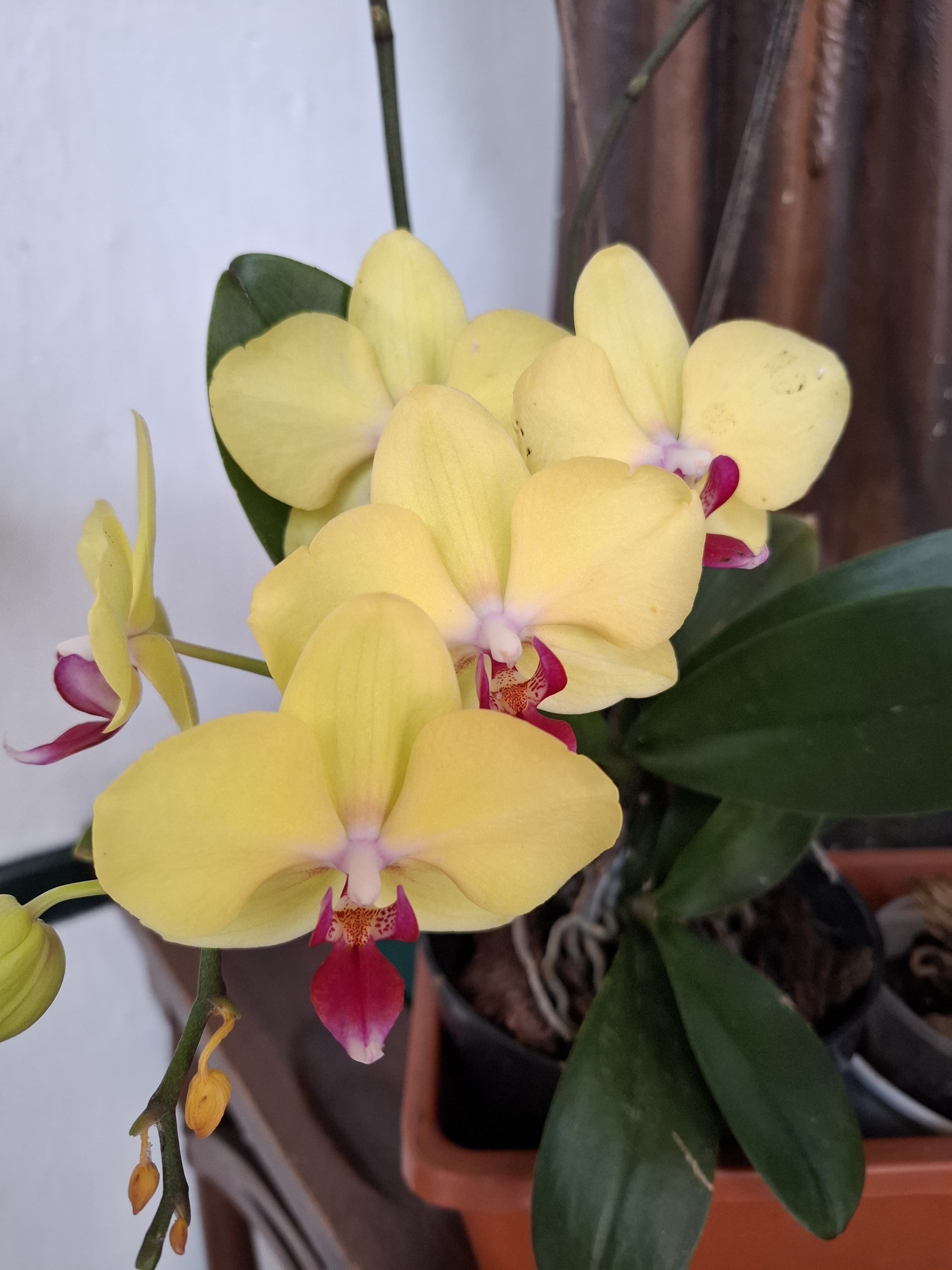 WhatsApp Image 2025-03-27 at 4.04.42 PM (3)