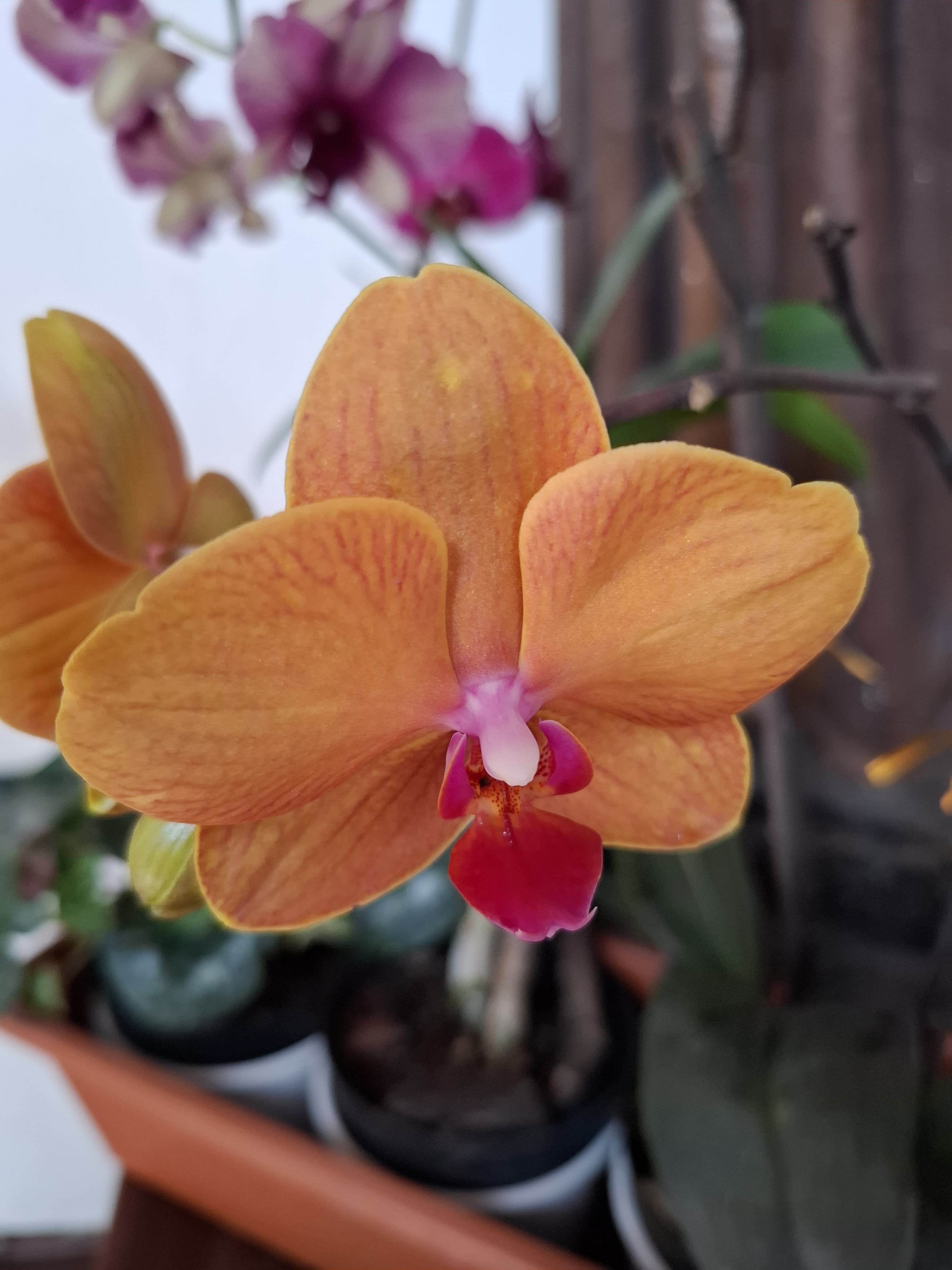 WhatsApp Image 2025-05-06 at 8.40.04 PM (1)