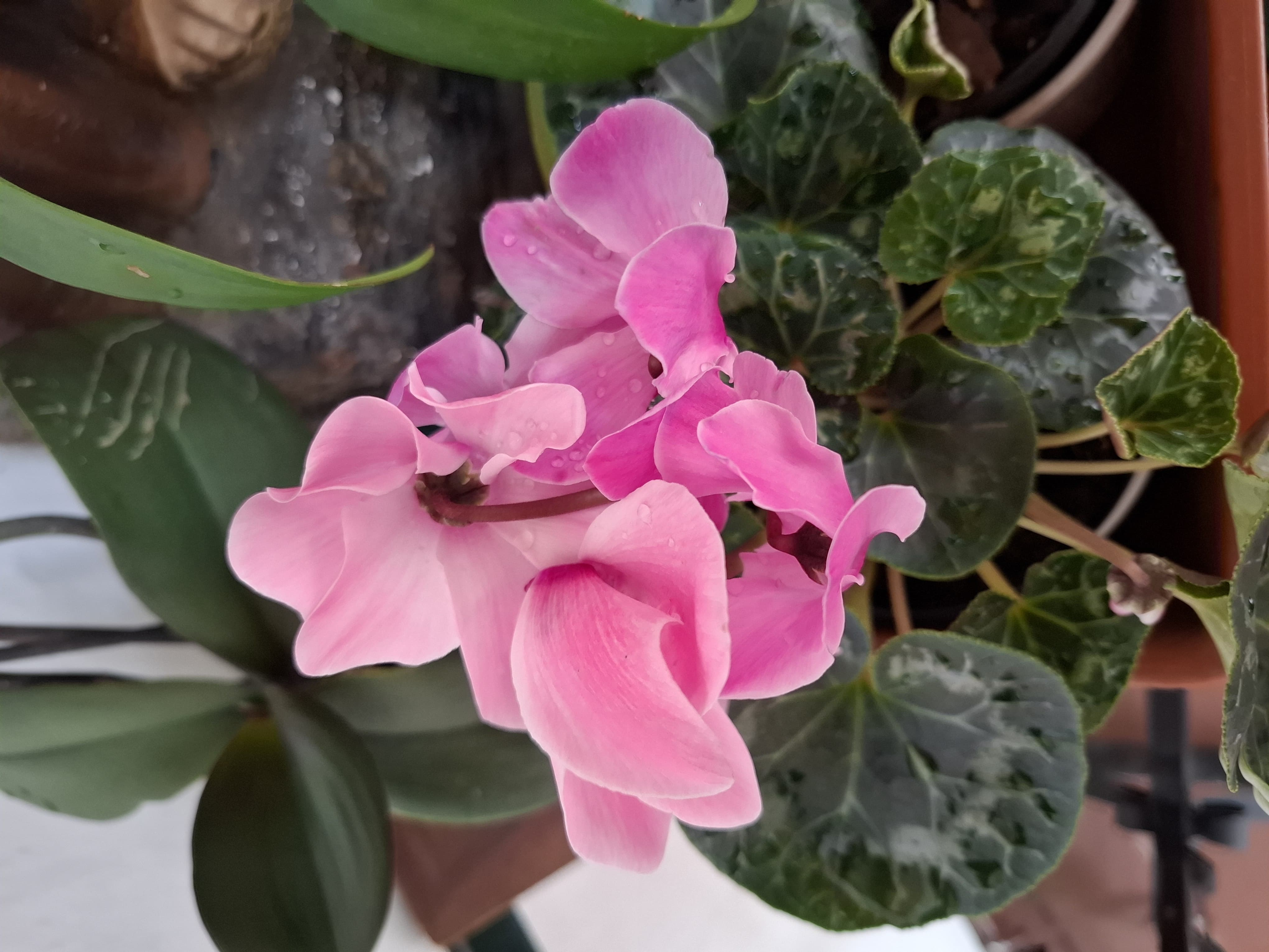 WhatsApp Image 2025-05-06 at 8.40.05 PM (1)