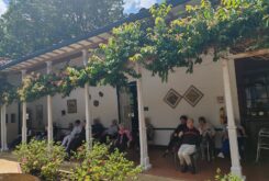 WhatsApp Image 2025-07-29 at 7.17.50 PM (1)